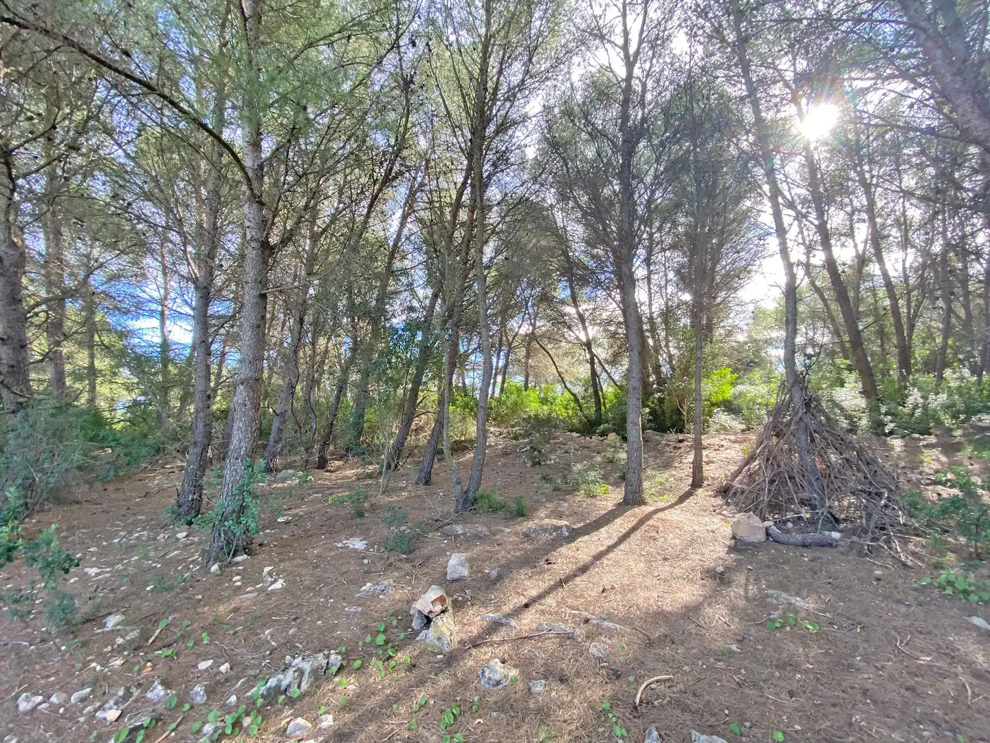 Casa o chalet en venta en Jávea / Xàbia con Jardín privado, Terraza y Trastero