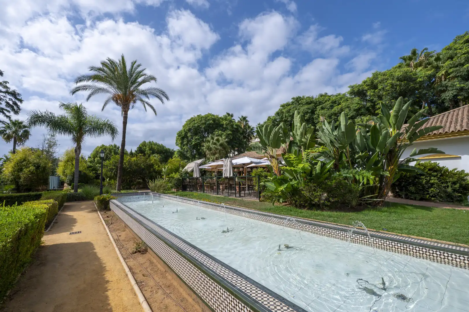 Swimming pool of Apartments for rent in Marbella  with Terrace, Swimming Pool and Community pool
