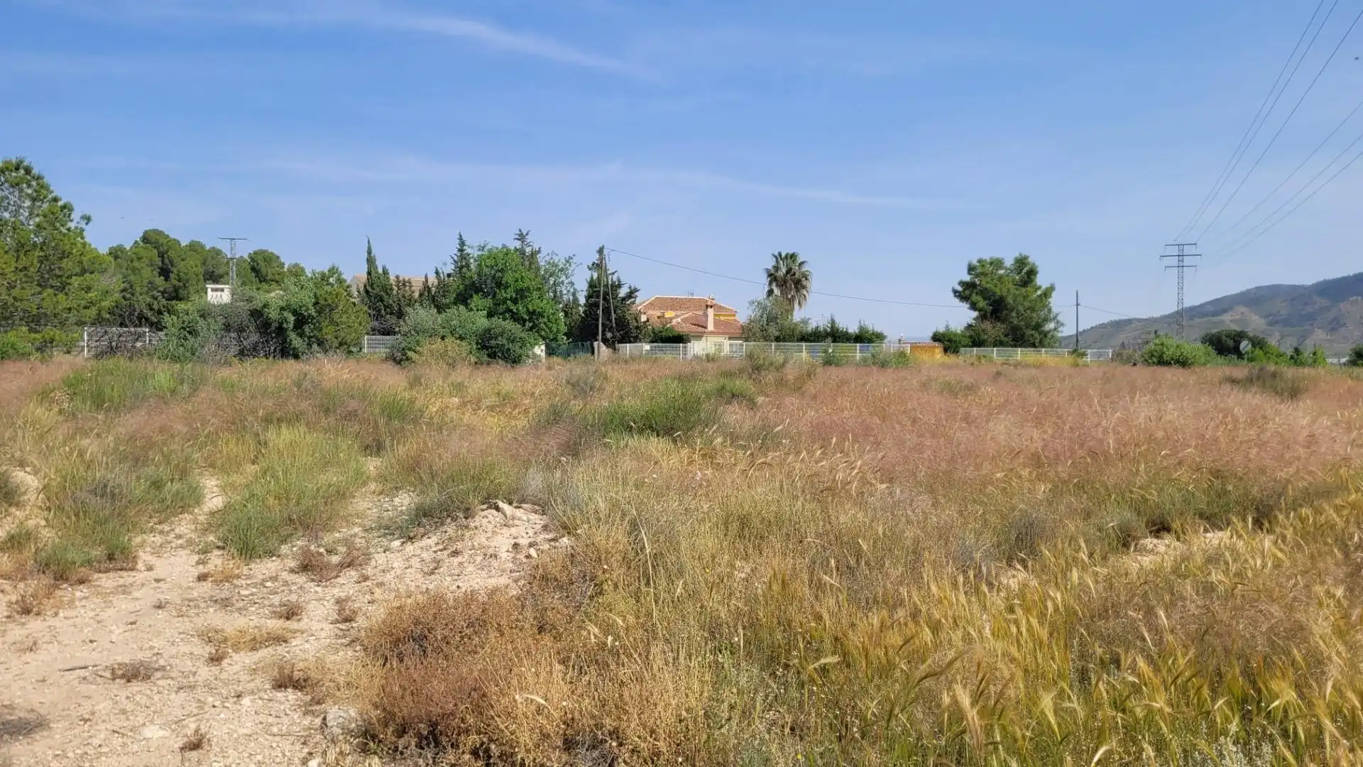 Land for sale in Blanca