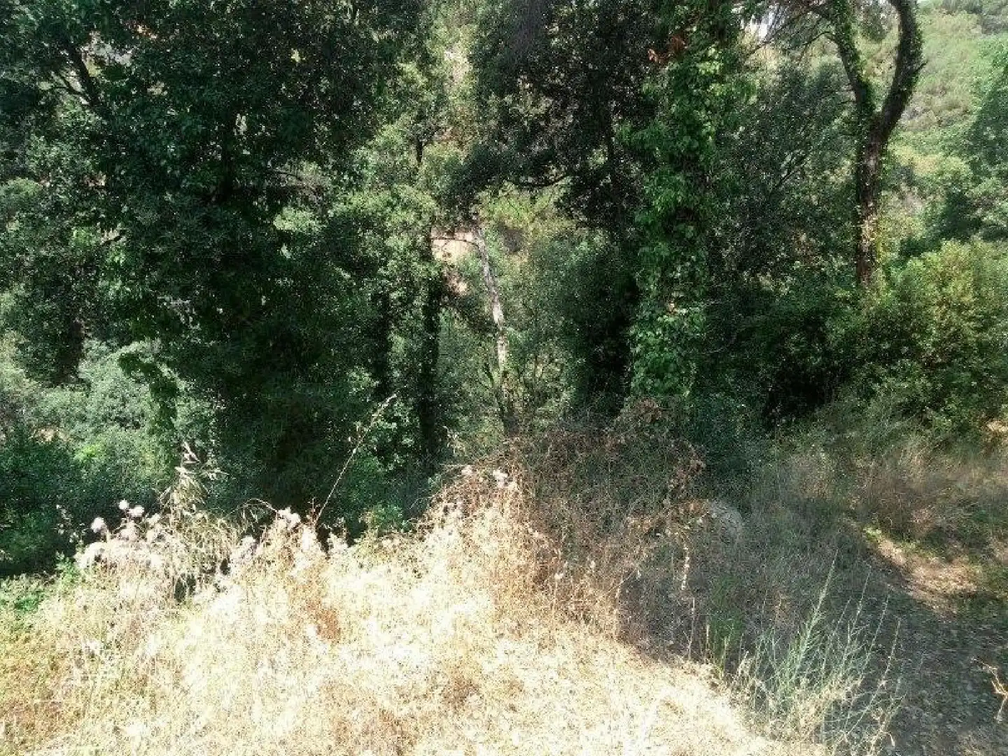 Terrenys i solars en venda a Can Massuet del Far, imagen 9
