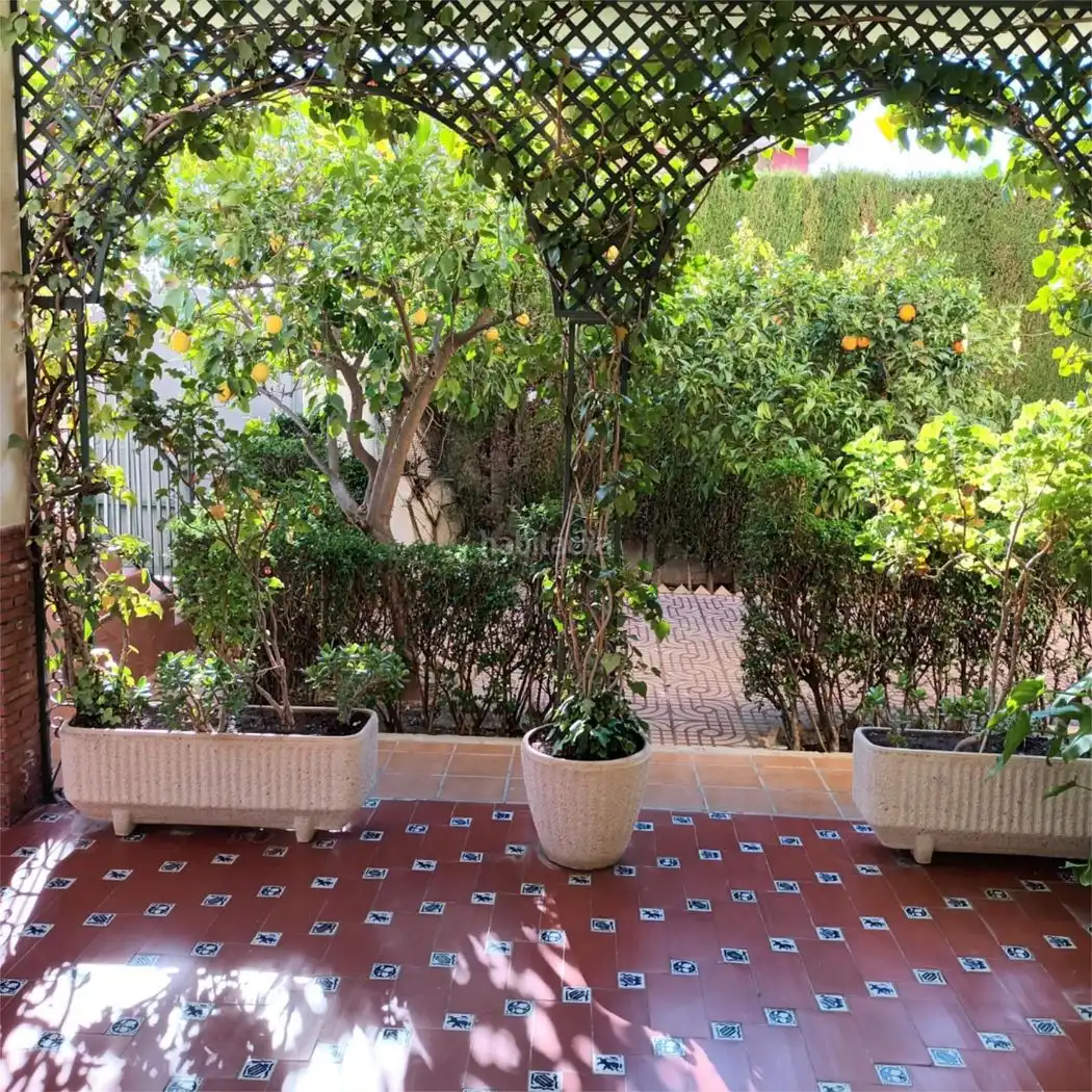 House with garden for sale in Calle Álamos 6, imagen 7