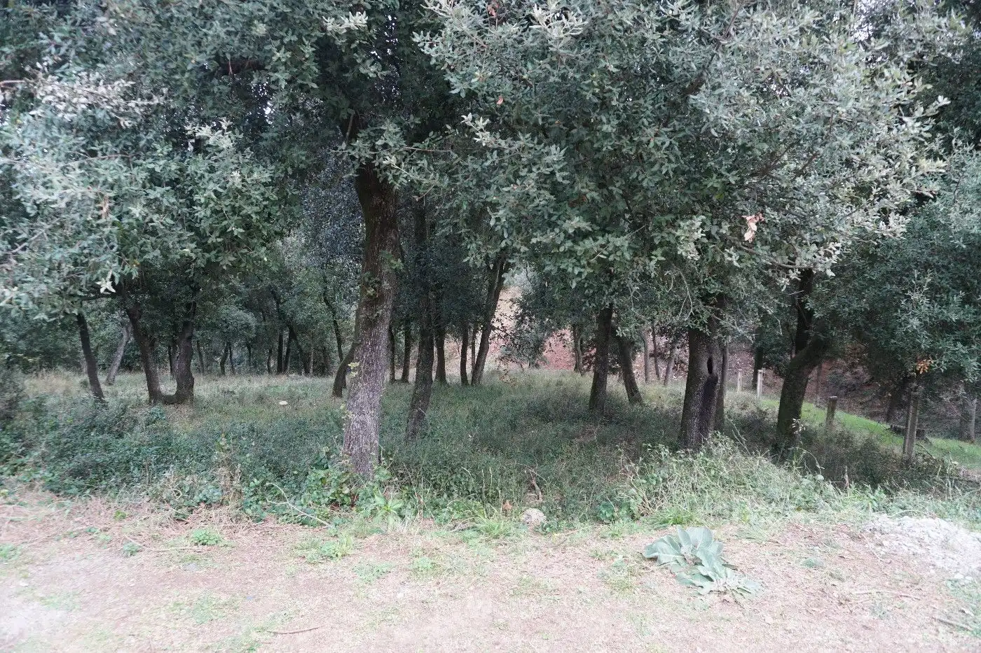 Terreny residencial en venda a Sant Pere de Vilamajor, imagen 7