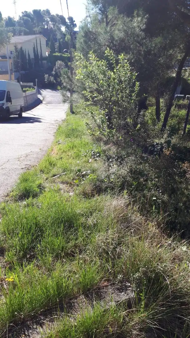 Rustikales Grundstück zum Verkauf in ORENETA, imagen 14