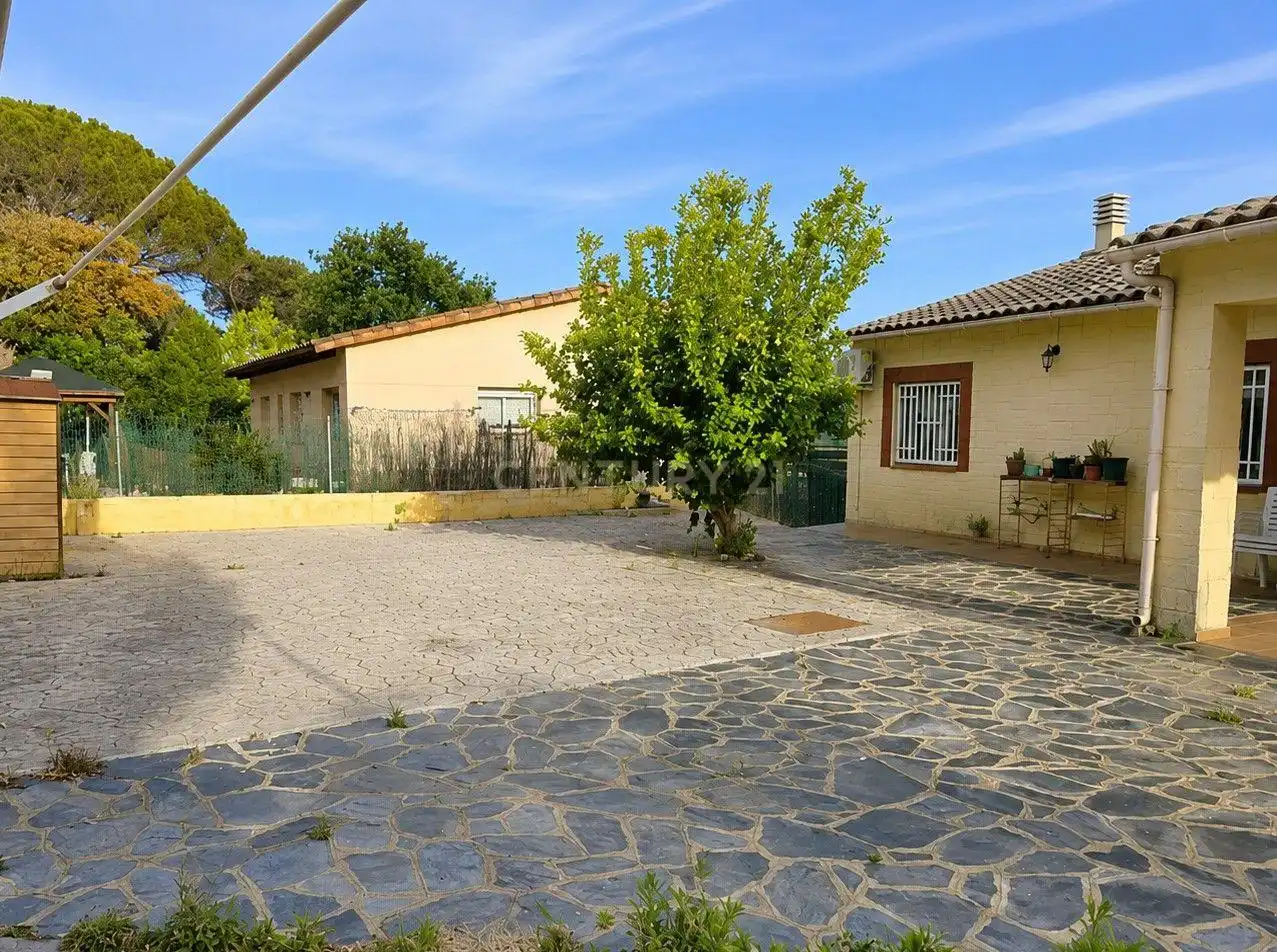 Casa con jardín en venta en UR BOSQ BATLLORIA 47RIELLS I VIABREA (GIRONA), imagen 12
