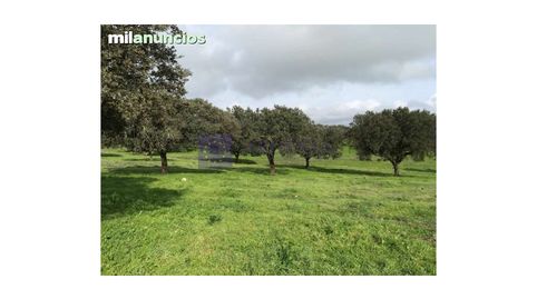 FINCA GANADERA DE UNAS 300 HECTÁREAS EN LA ZONA DE ALCANTARA, imatge 4