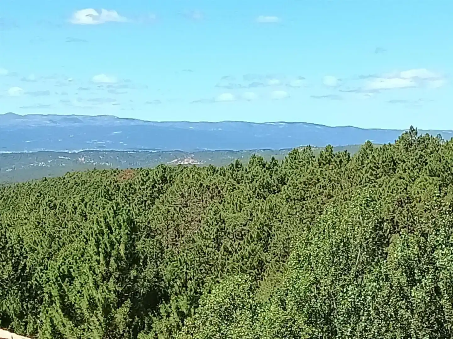 Terreno en venta en Fuentes de Rubielos