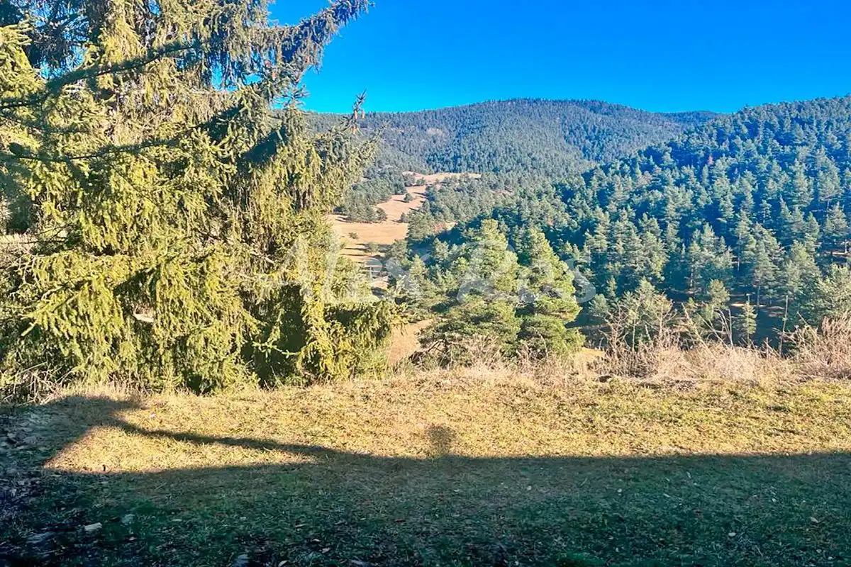 Rustikales Grundstück zum Verkauf in Molina, imagen 6