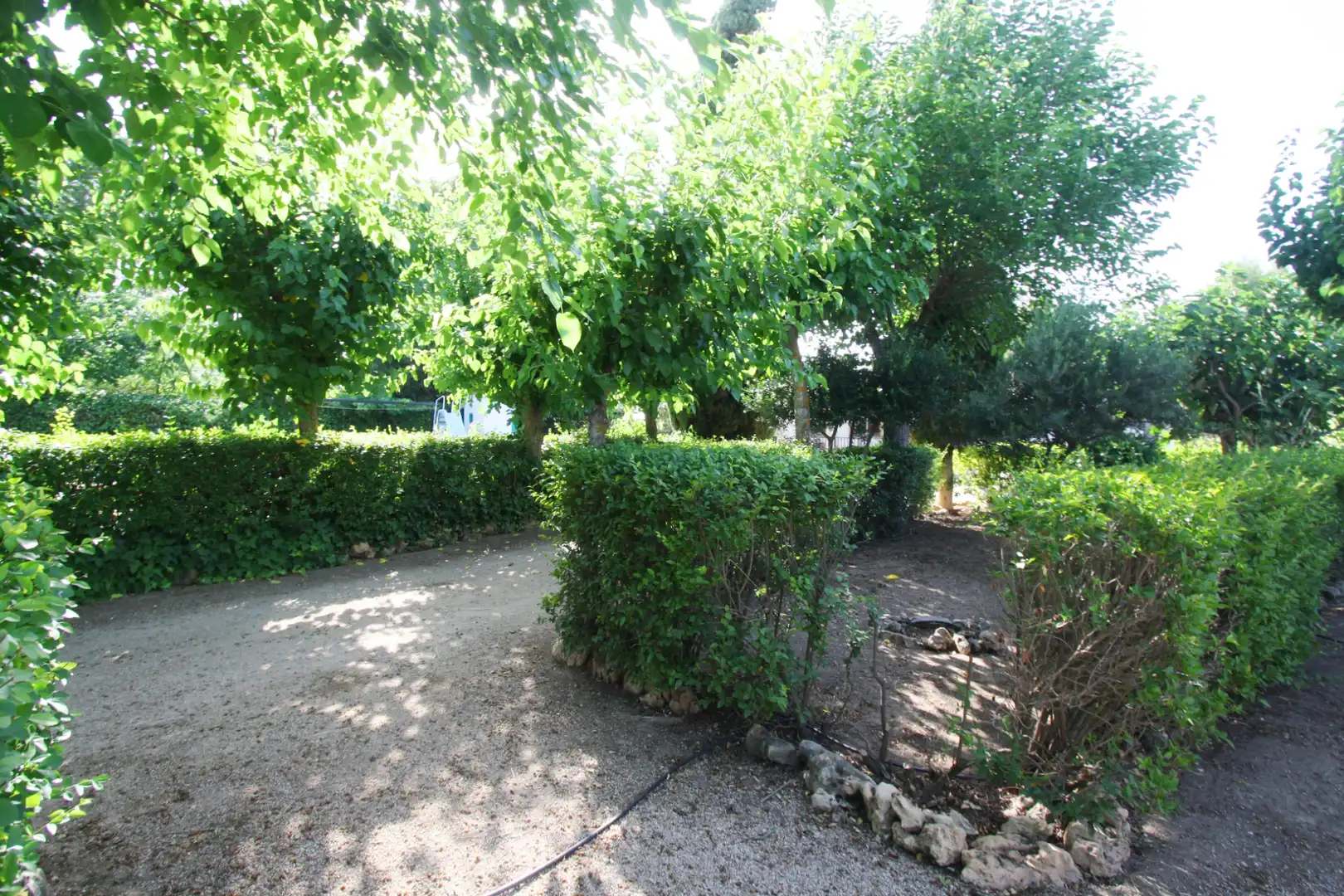 Jardí de Casa o xalet en venda en Albacete amb Aire condicionat, Jardí privat i Terrassa