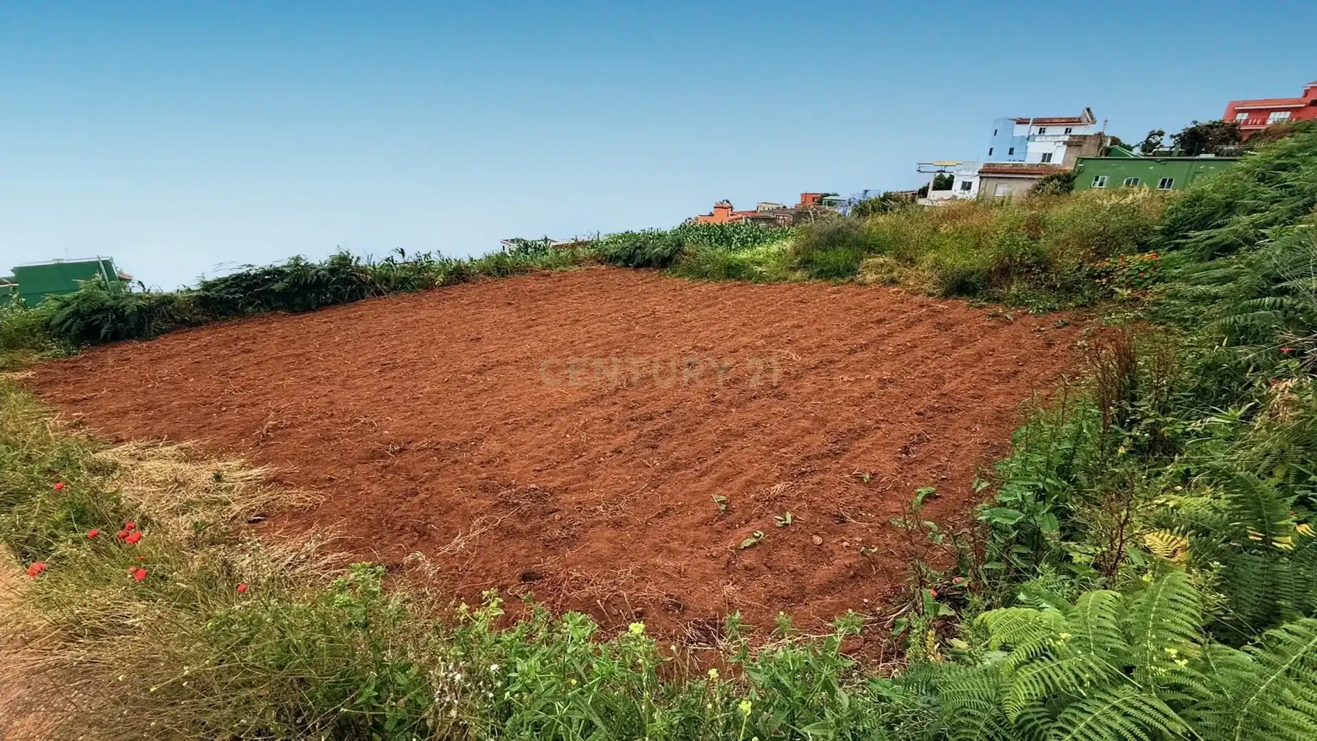Terreno en venta en Los Realejos