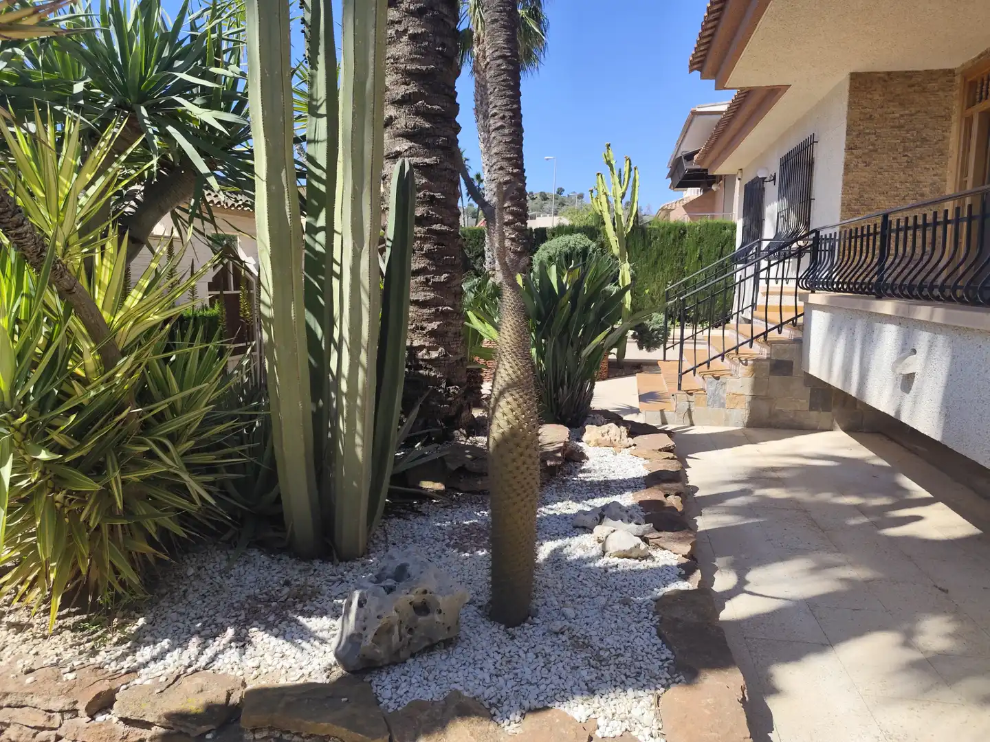 Jardí de Casa o xalet en venda en Murcia amb Terrassa, Traster i Piscina