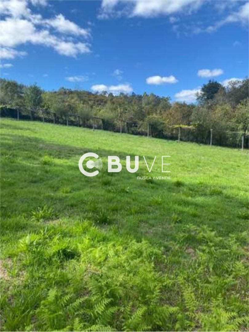 Casa o xalet en venda en Rois amb Jardí privat