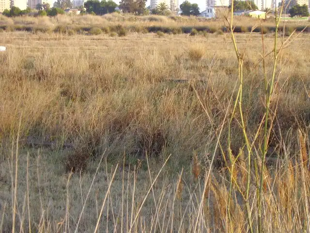 Residential land for sale in Calle Rafael Balaguer 75, imagen 14