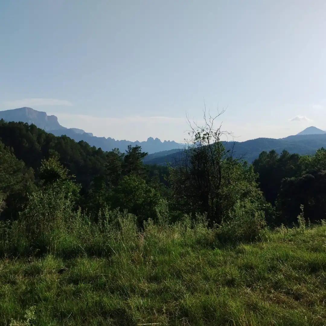 Finca rústica en venta en Guixers
