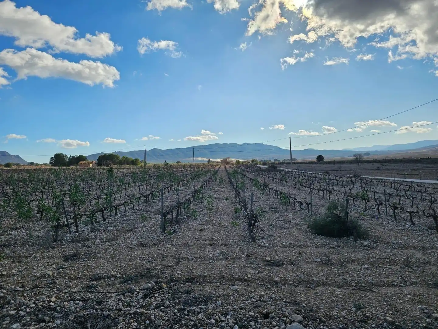 Residencial en venta en Salinas