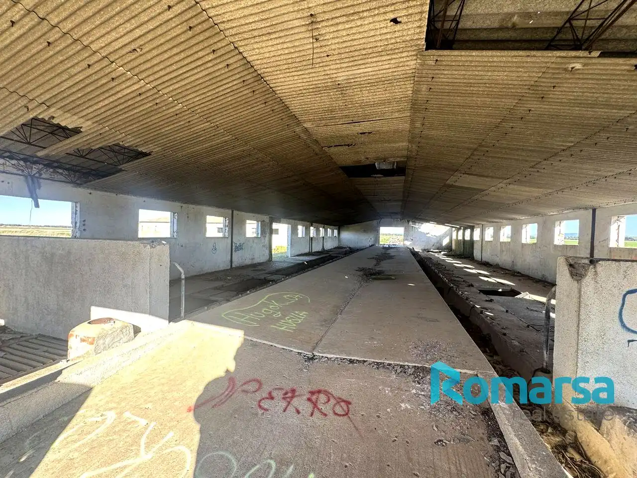 Land for sale in Papatrigo