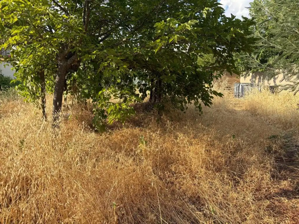Terreny residencial en venda a Almodóvar del Campo, imagen 11