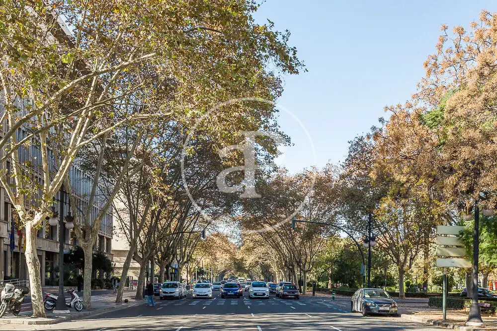 Flat for rent in Carrer de Xile, Mestalla