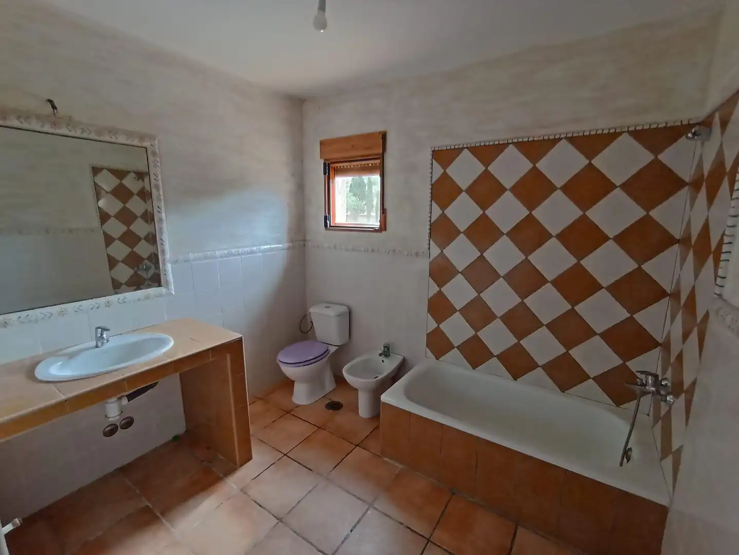 Bathroom of Houses for sale in Alicante / Alacant  with Private garden and Terrace