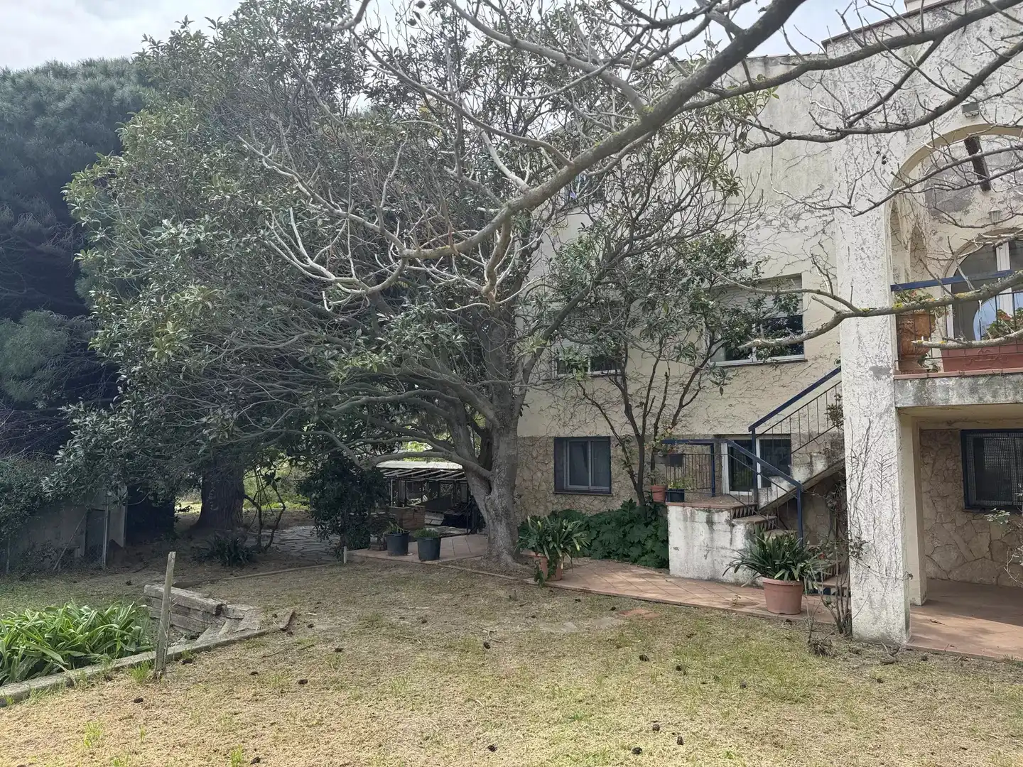 Vista exterior de Casa o chalet en venta en Colera con Jardín privado y Terraza