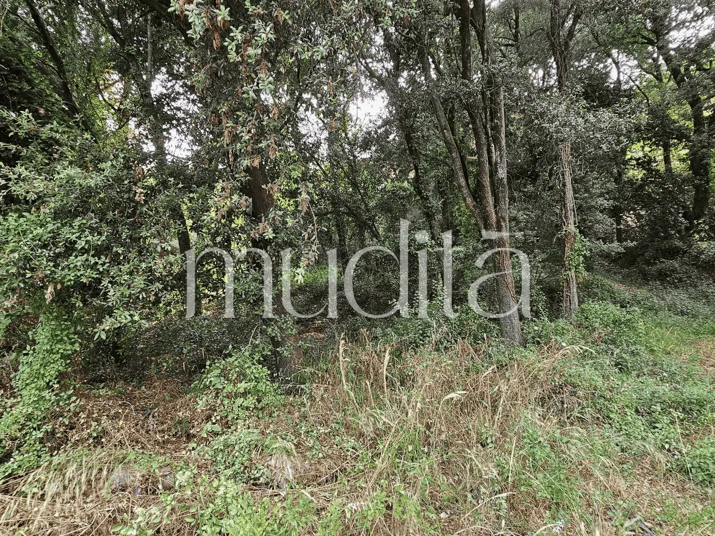 Residential land for sale in del Xaloc, imagen 24