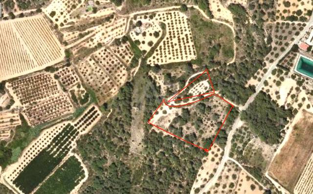 Terreno en Venta en Vallmoll