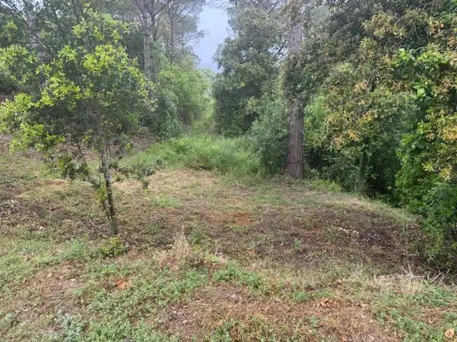 Terreno rústico en venta en Urbanització Collsacreu 135