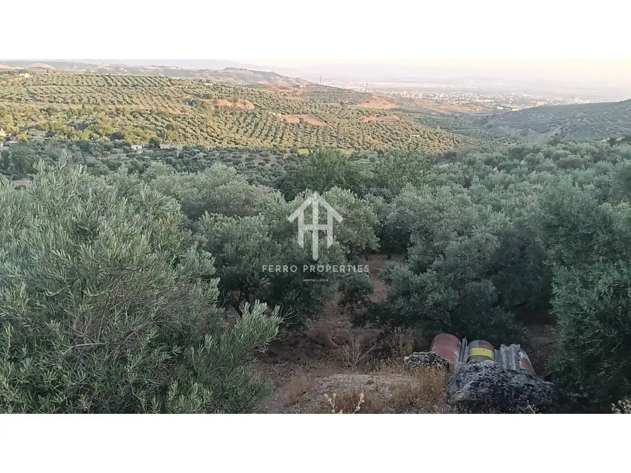 Terreno rustico in vendita a Camino Yeseros de Nivar 1, imagen 4