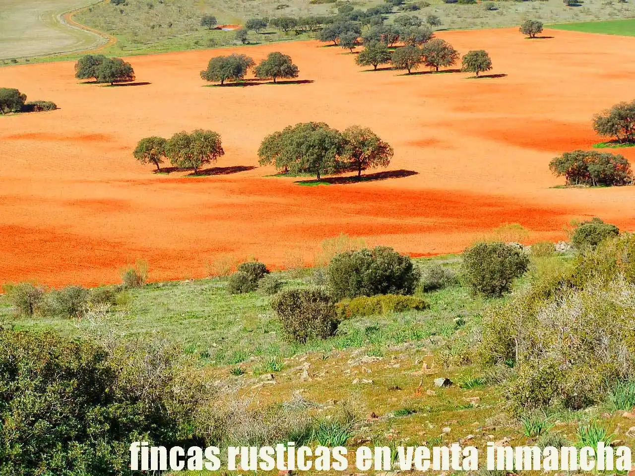 Terreno rustico in vendita a Aldea del Rey, imagen 6