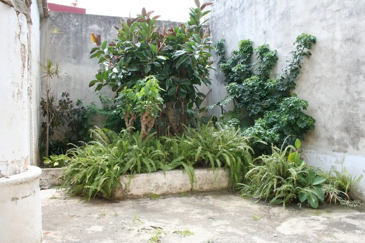 House with garden for sale in Pedreguer, imagen 6