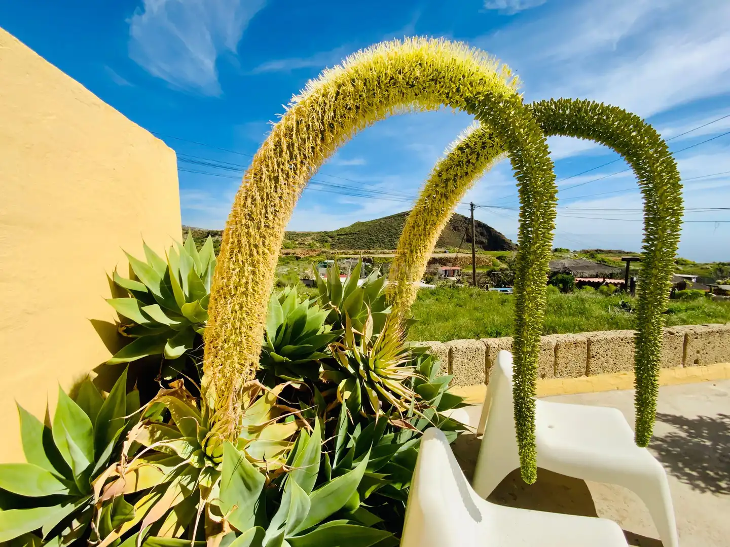 Außenansicht von Haus oder Chalet zum Verkauf in San Miguel de Abona