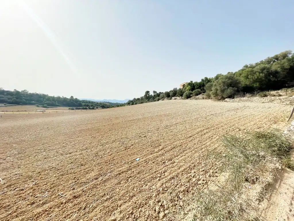 Rural land for sale in Sineu, imagen 12