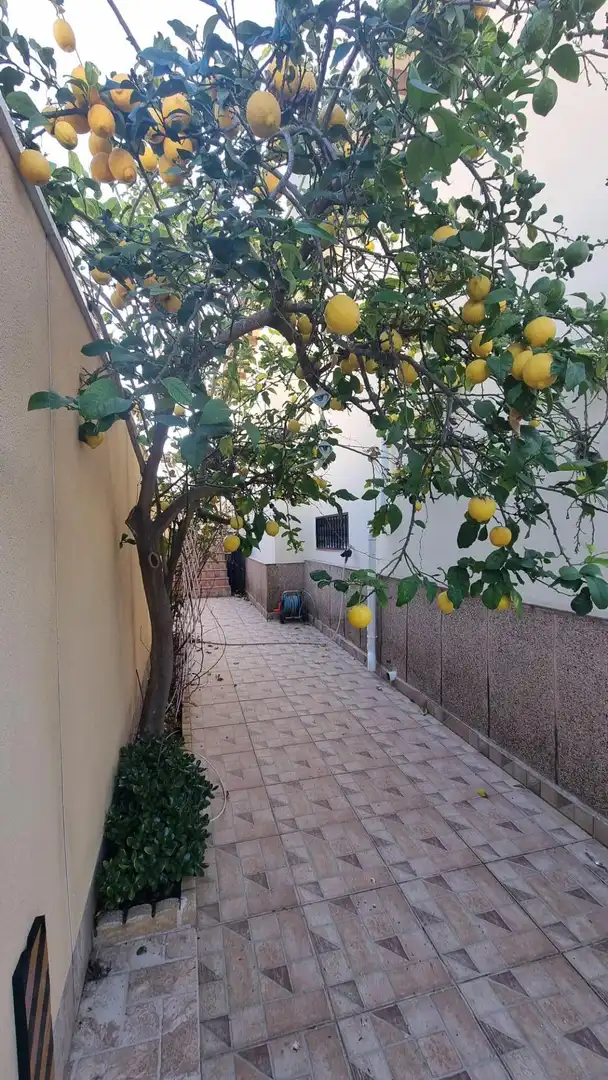 Villa con piscina in vendita a Calle laguna azul, imagen 7