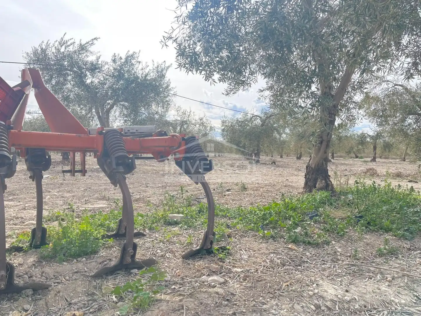 Terreno en venta en Uleila del Campo