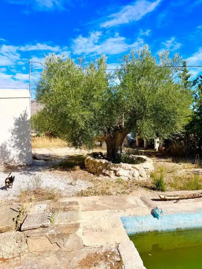 Houses for sale in Vélez-Blanco