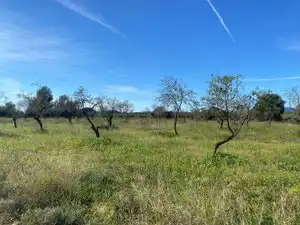 Terreno en venta en El Pont d'Armentera