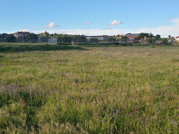 Casa rustica in vendita a Sur