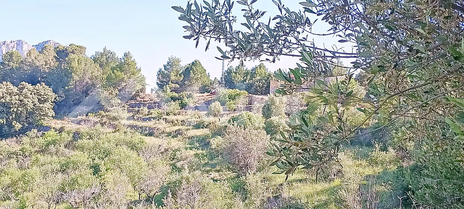 Terreny rústic en venda a Castell de Castells, imagen 17