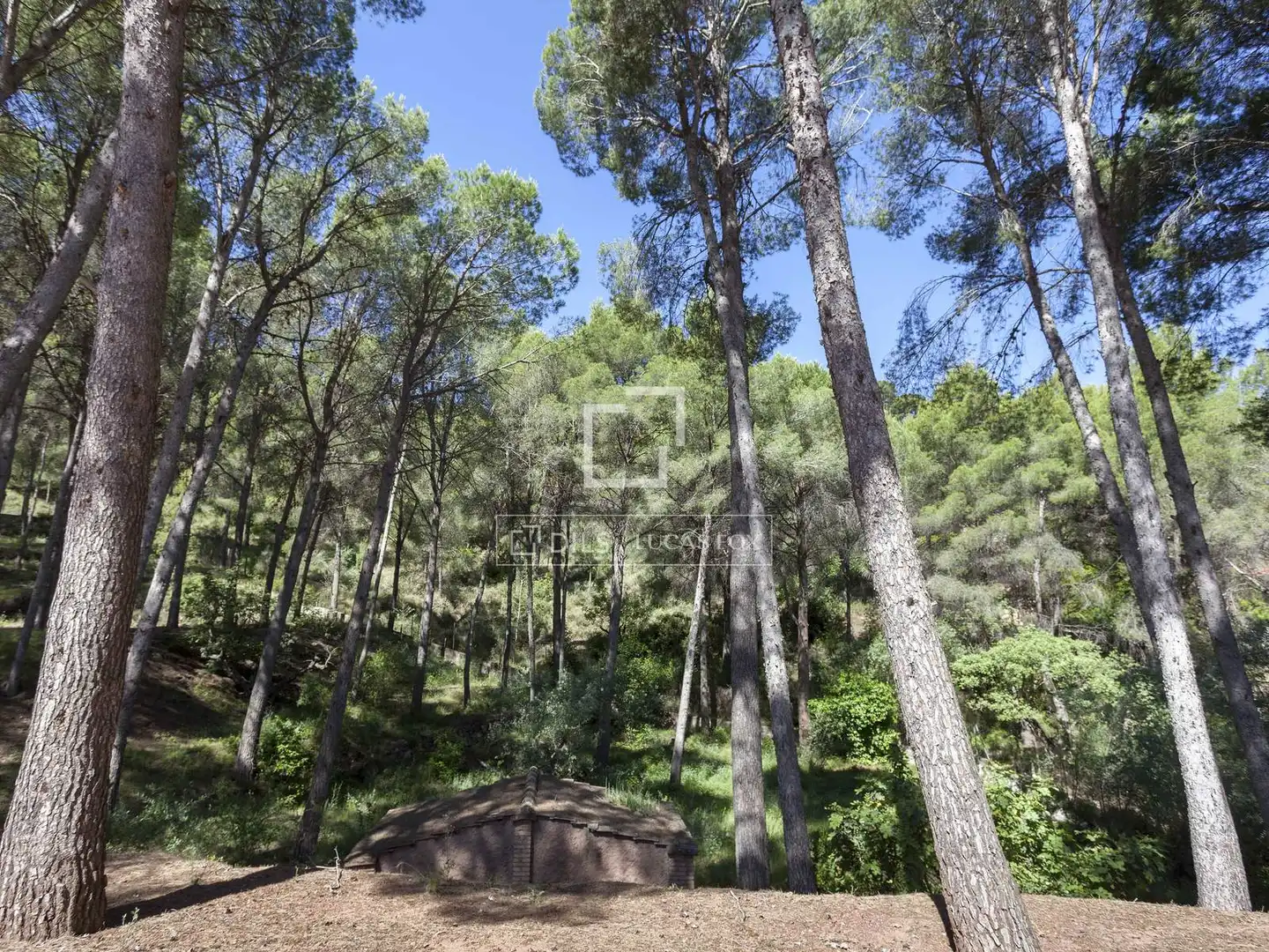 Chalet con jardín en venta en Casco Urbano, imagen 31