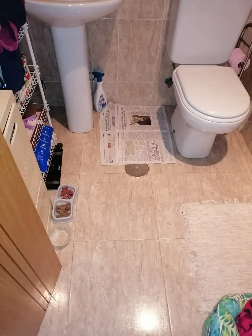 Bathroom of Flat for sale in Nogueira de Ramuín  with Heating, Parquet flooring and Furnished
