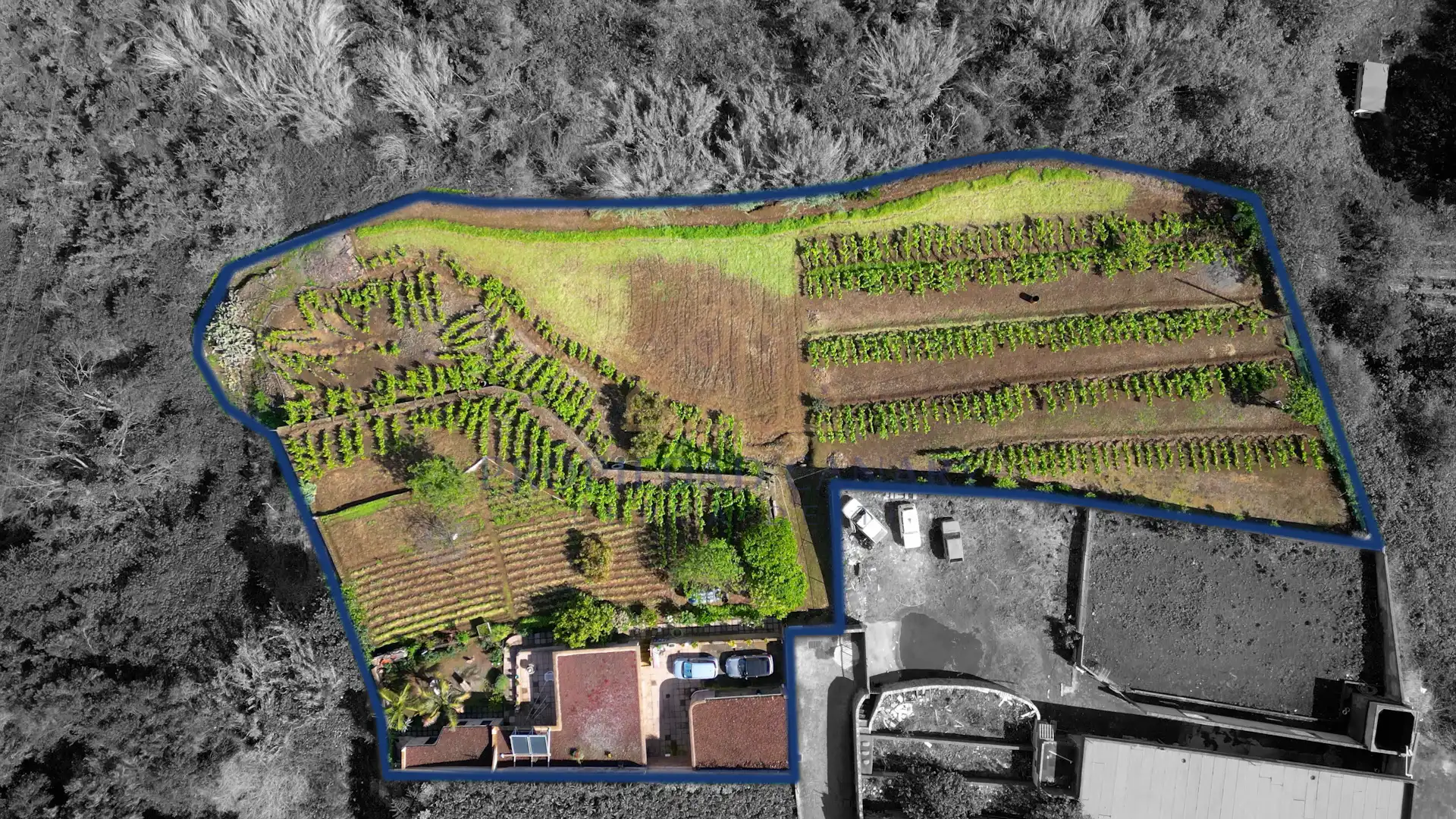 Casa rústica con jardín en venta en La Perdoma - San Antonio - Benijos, imagen 104