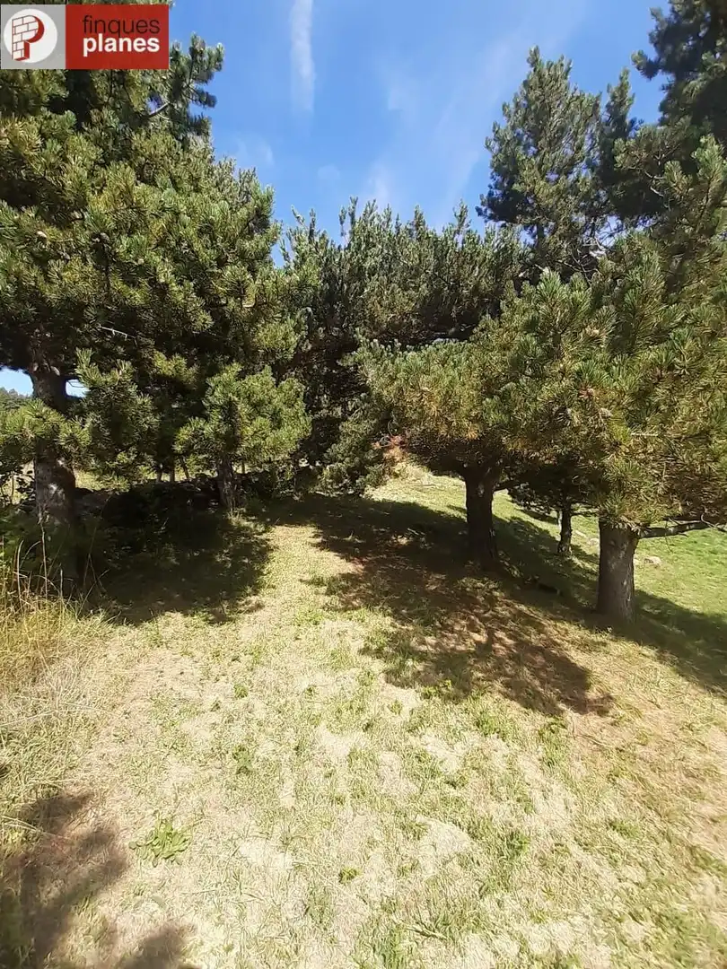 Houses for sale in Les Valls de Valira  with Private garden and Furnished