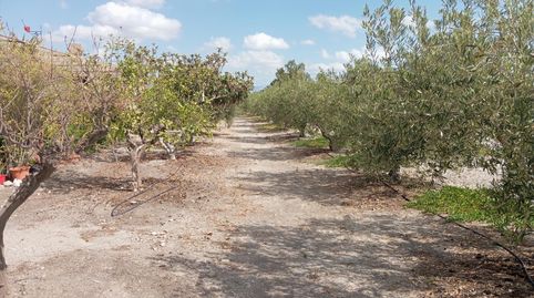 Foto 5 de Finca rústica en venta en Puerto Lumbreras, Murcia