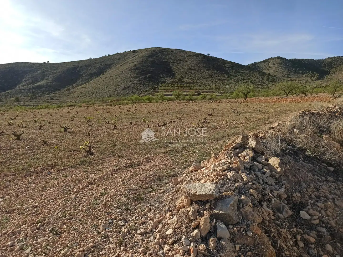Terrain rustique à vendre à Algueña, imagen 10