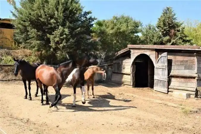 Terrenos y solares en venta en Mas Mora - Sant Daniel, imagen 58
