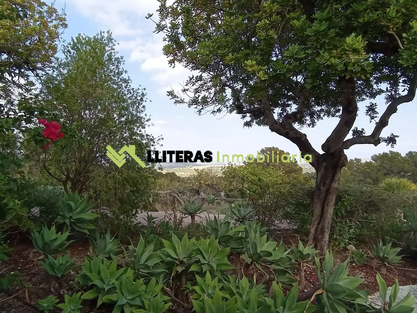 Country homes for sale in Selva