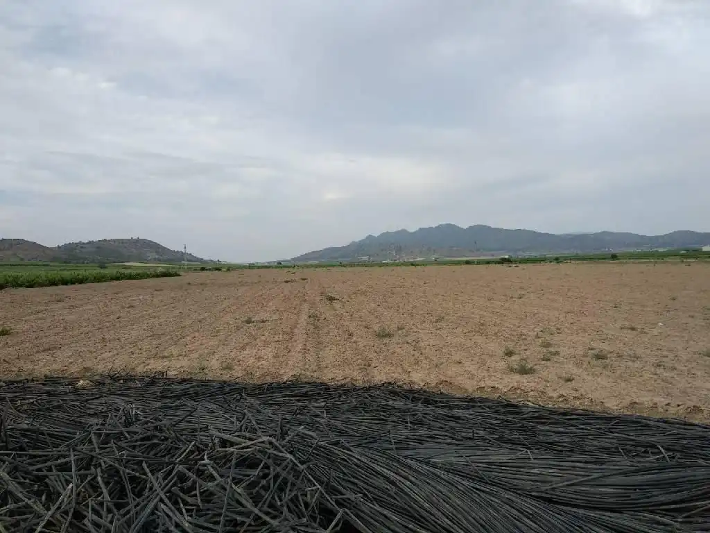 Country house for sale in Jumilla, imagen 4