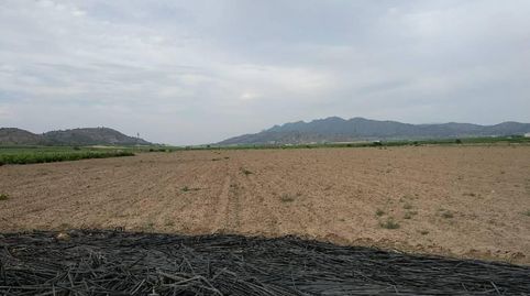 SE VENDE FINCA RUSTICA EN JUMILLA, imatge 4