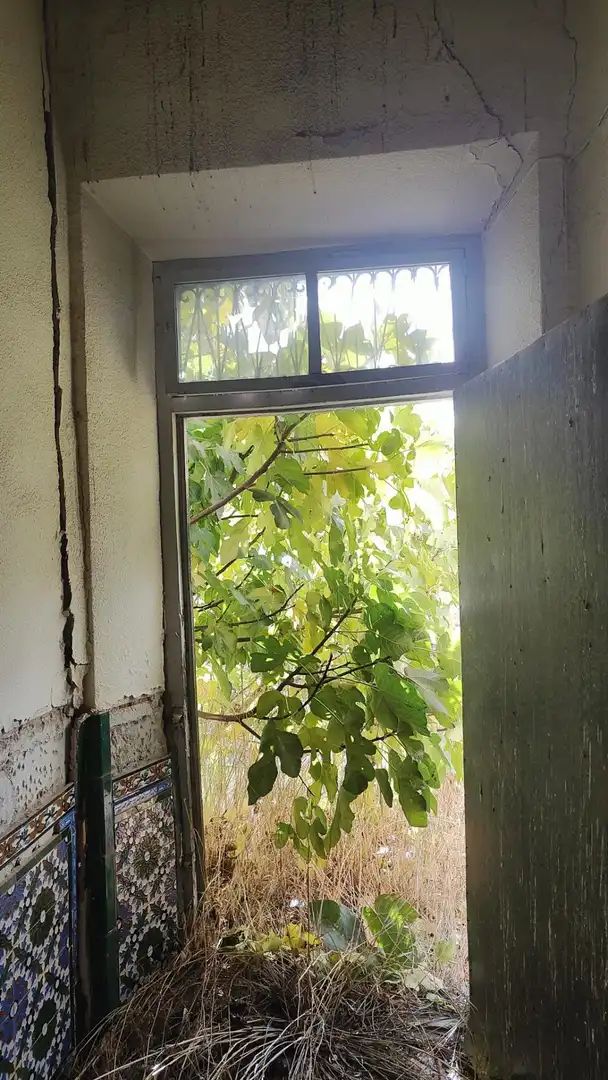 Jardín de Casa o chalet en venta en Valdepeñas