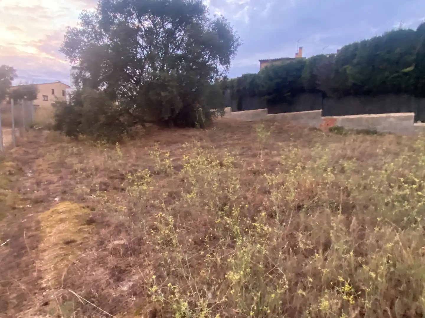Terrenys i solars en venda a Vila de Palafrugell, imagen 10