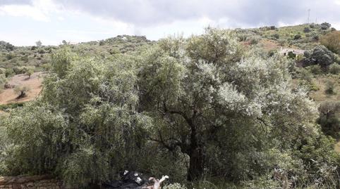 Foto 4 de Terreno en venta en Los Frailes, 124, Cútar, Málaga